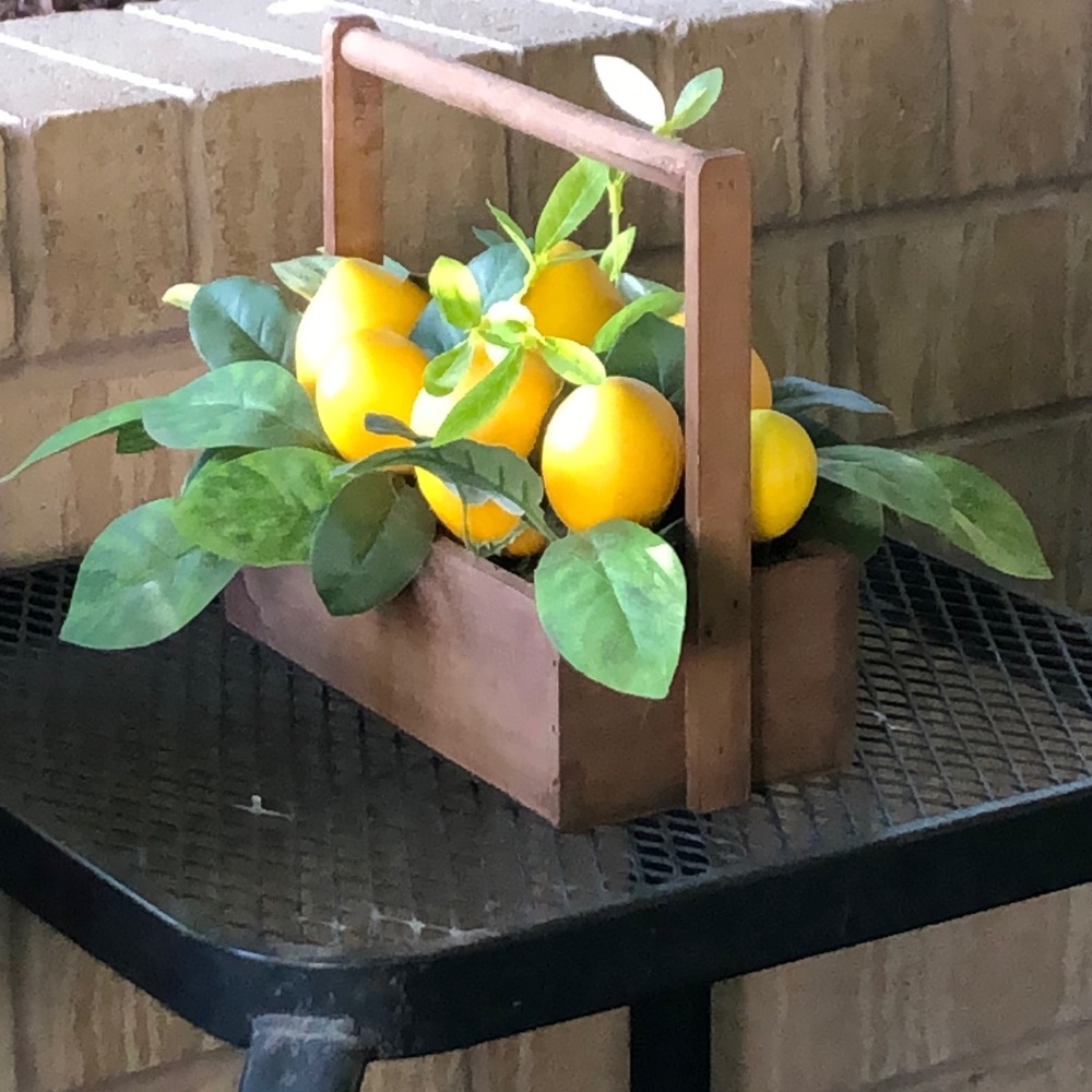 Meet your Posher, Rosina